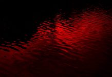 Facing Coming Storms #39: Blood in the water – from Donbas to Taiwan