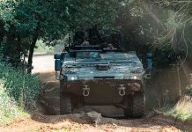 Boxing clever? The gloves are off