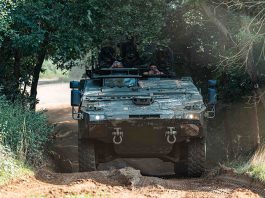 Boxing clever? The gloves are off