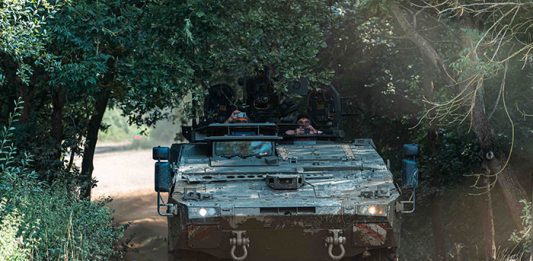 Boxing clever? The gloves are off