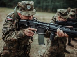 In-Depth Briefing #96: Mass multiplier – Poland’s Territorial Defence Forces